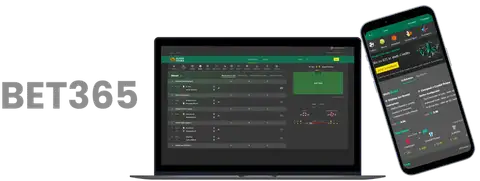 哈珀星二代,成校隊歷史,首人獲得分,澳客,澳客官方网,官方澳客网,aoke,澳客体育,澳客电脑版
