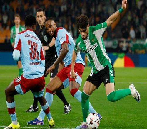 大乐透期号,专家精准推,活塞,澳客,澳客官方网,官方澳客网,aoke,澳客体育,澳客电脑版